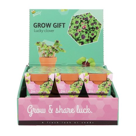 Grow Gifts Klavertje 4  - Buzzy Display