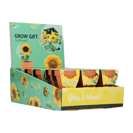 Grow Gifts Zonnebloem  - Buzzy Display