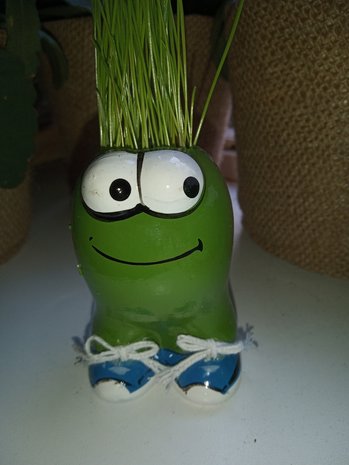 munakuppi kikker - groeicadeautjes voor kinderen