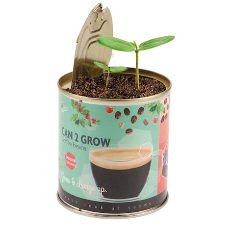 groeicadeau, koffie en thee in blik | Koffie/thee can grow