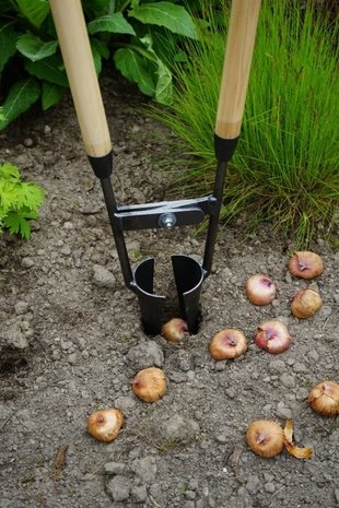 Bollenpoter met 2 stelen - DeWit