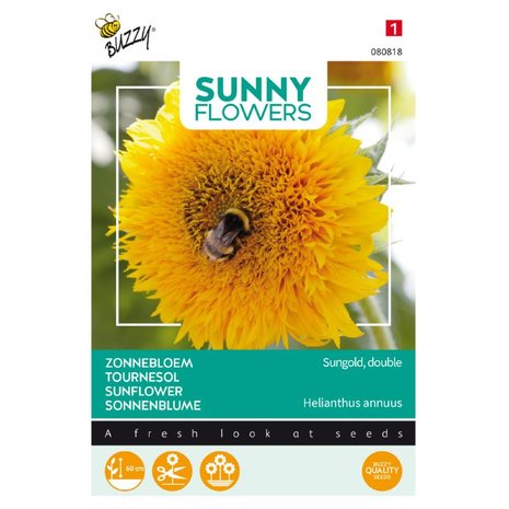 Sunny Flowers, lage Zonnebloem Sungold dubbelbloemig