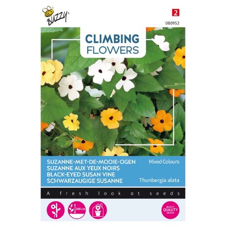Climbing Flowers Thunbergia, Suzanne-met-mooie-ogen
