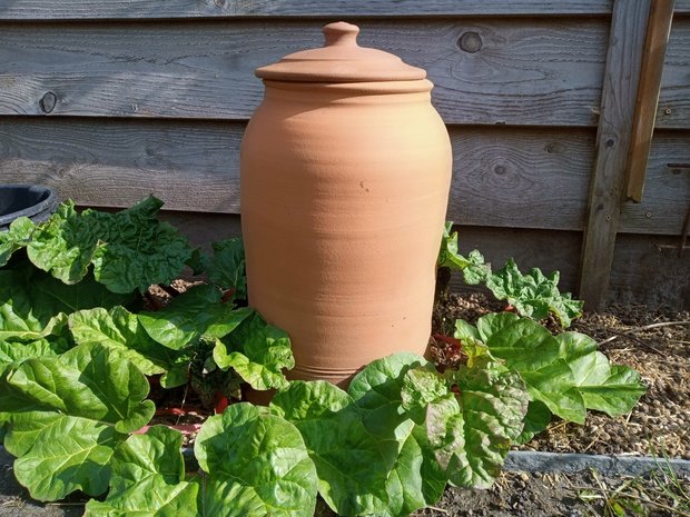 Bleekpot Rabarberpot, ambachtelijk, bleekpot, forching