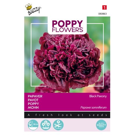 Poppy Flowers, Papaver Black Paeony
