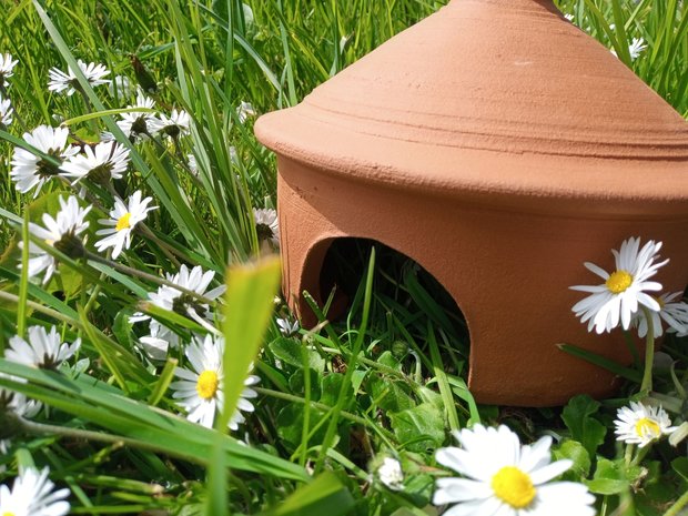 paddenhuis - terracotta - handgemaakt