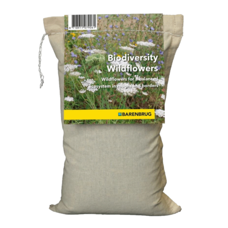 biodiversity-wildflowers