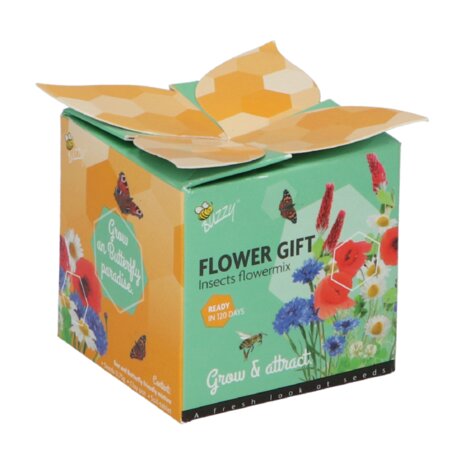 Vlinders en Bijen Flower Gift in doosje  - Buzzy