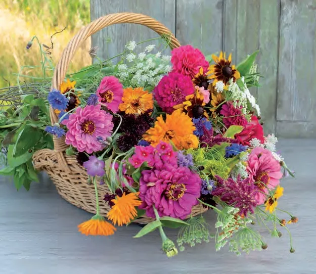 Nieuw! Colourful Bouquets / Kleurrijke Boeketten