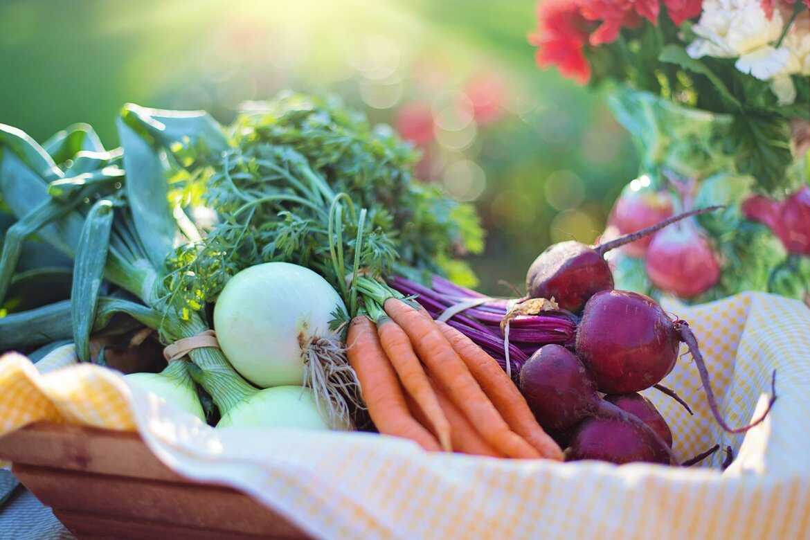 Moestuin-tuinieren