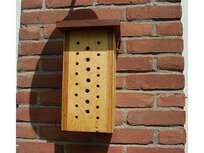 Bijenkast met observatie venster (educatief) vernieuwd model! Bijenkast met observatie venster (educatief) vernieuwd model!